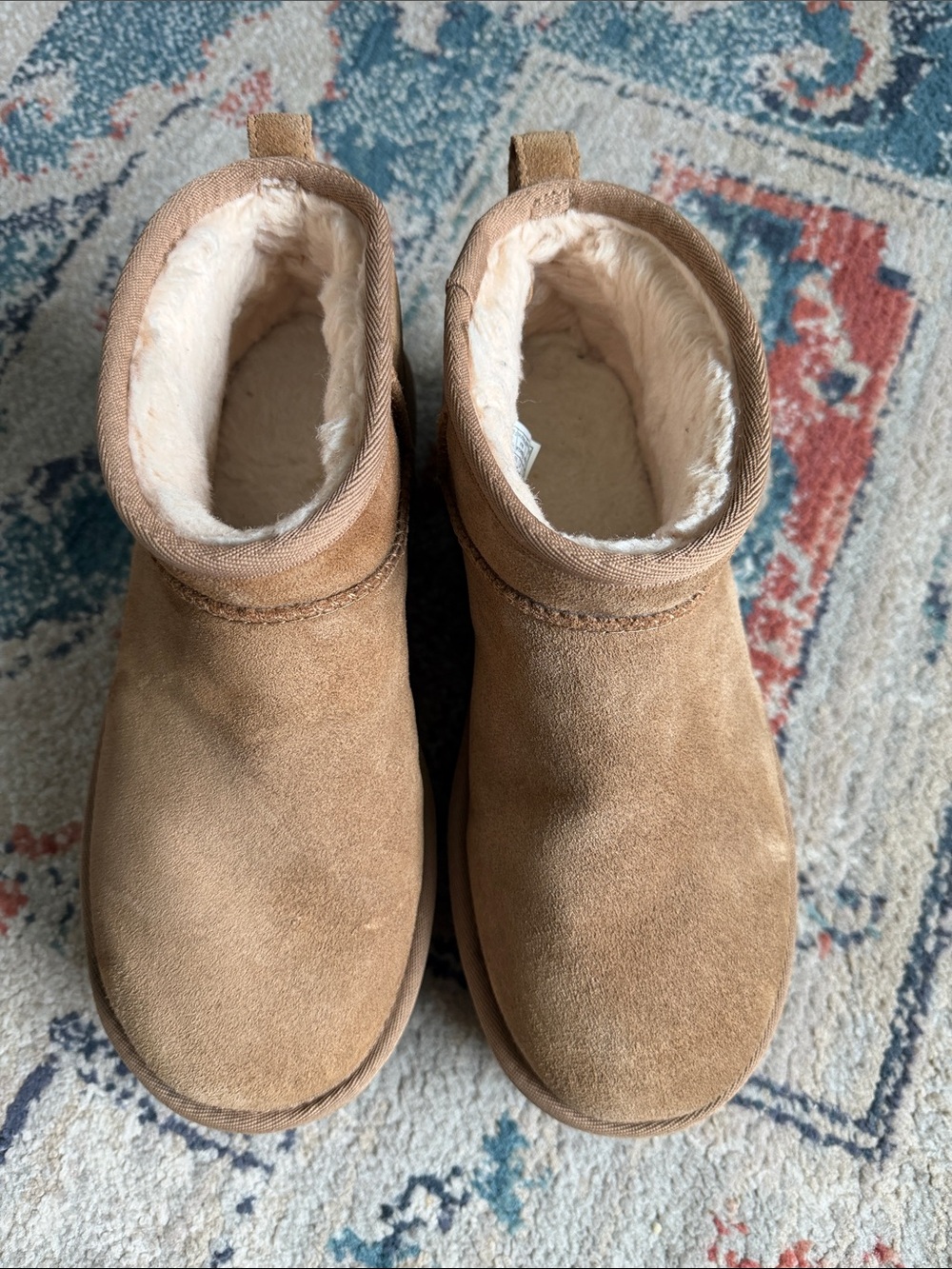 UGG Classic Mini in Chestnut